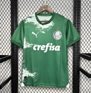 24/25 Palmeiras Special Edition Green And White Jersey